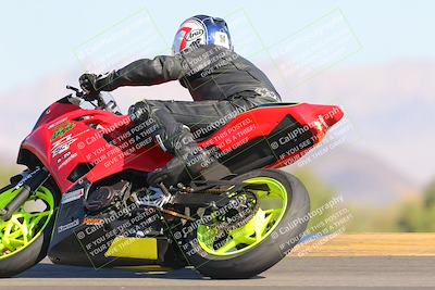 media/Nov-12-2023-SoCal Trackdays (Sun) [[5d1fba4e7d]]/Turn 9 Backside (1015am)/